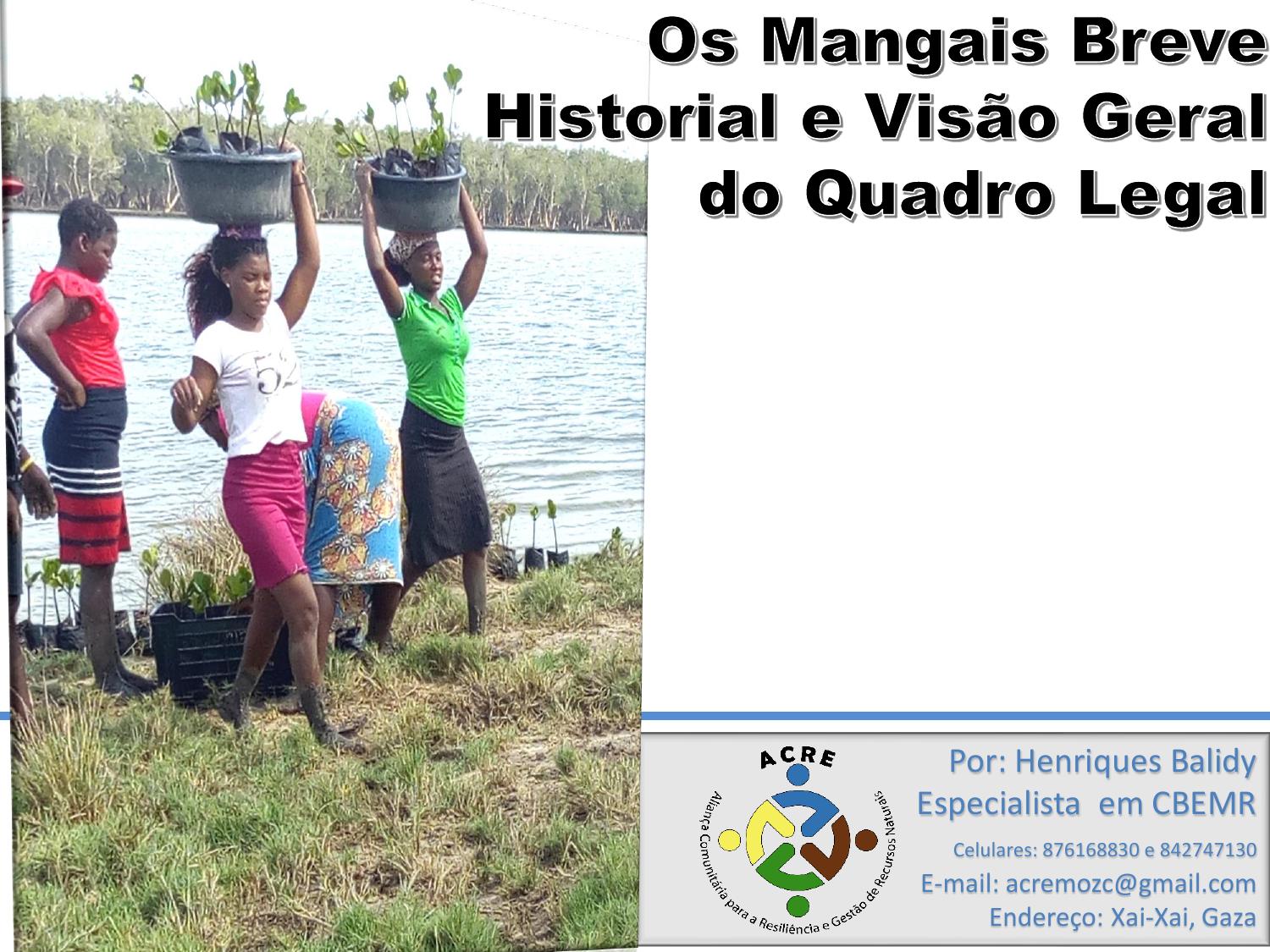 imagem primeira página